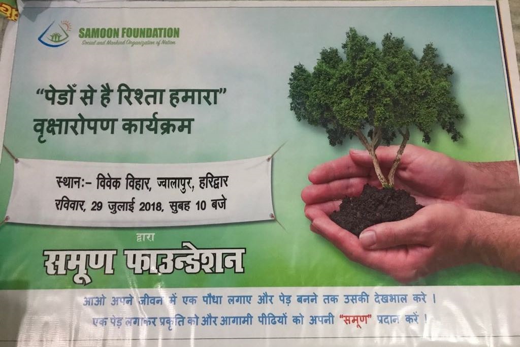 RELATIONSHIP WITH TREES: TREE PLANTATION - THIRD PHASE